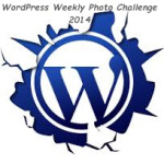 wordpress photo challenge -2014